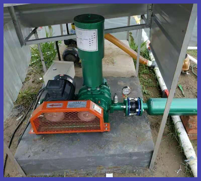 水產(chǎn)養(yǎng)殖羅茨風(fēng)機(jī)使用現(xiàn)場(chǎng)案例