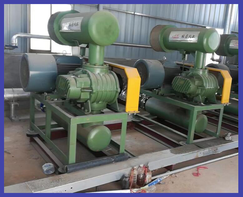 密集型羅茨風(fēng)機(jī)使用現(xiàn)場(chǎng)案例